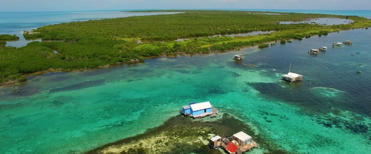 Banco Chinchorro: Santuarios Marinos Protegidos